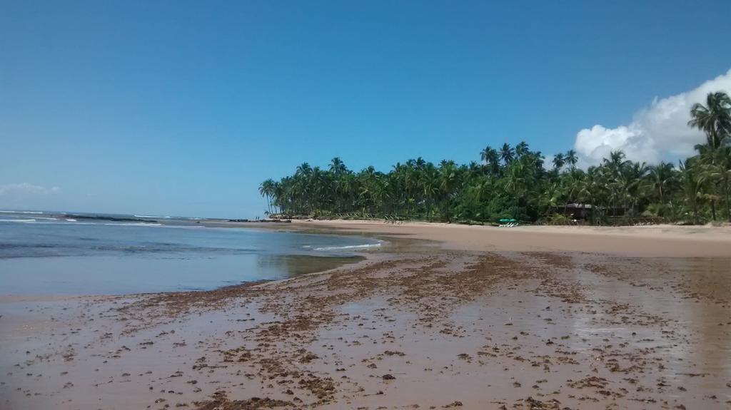 O Cajueiro Barra Grande (Bahia) Exterior foto